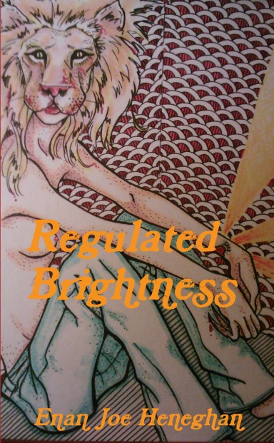 Regulated Brightness book cover
